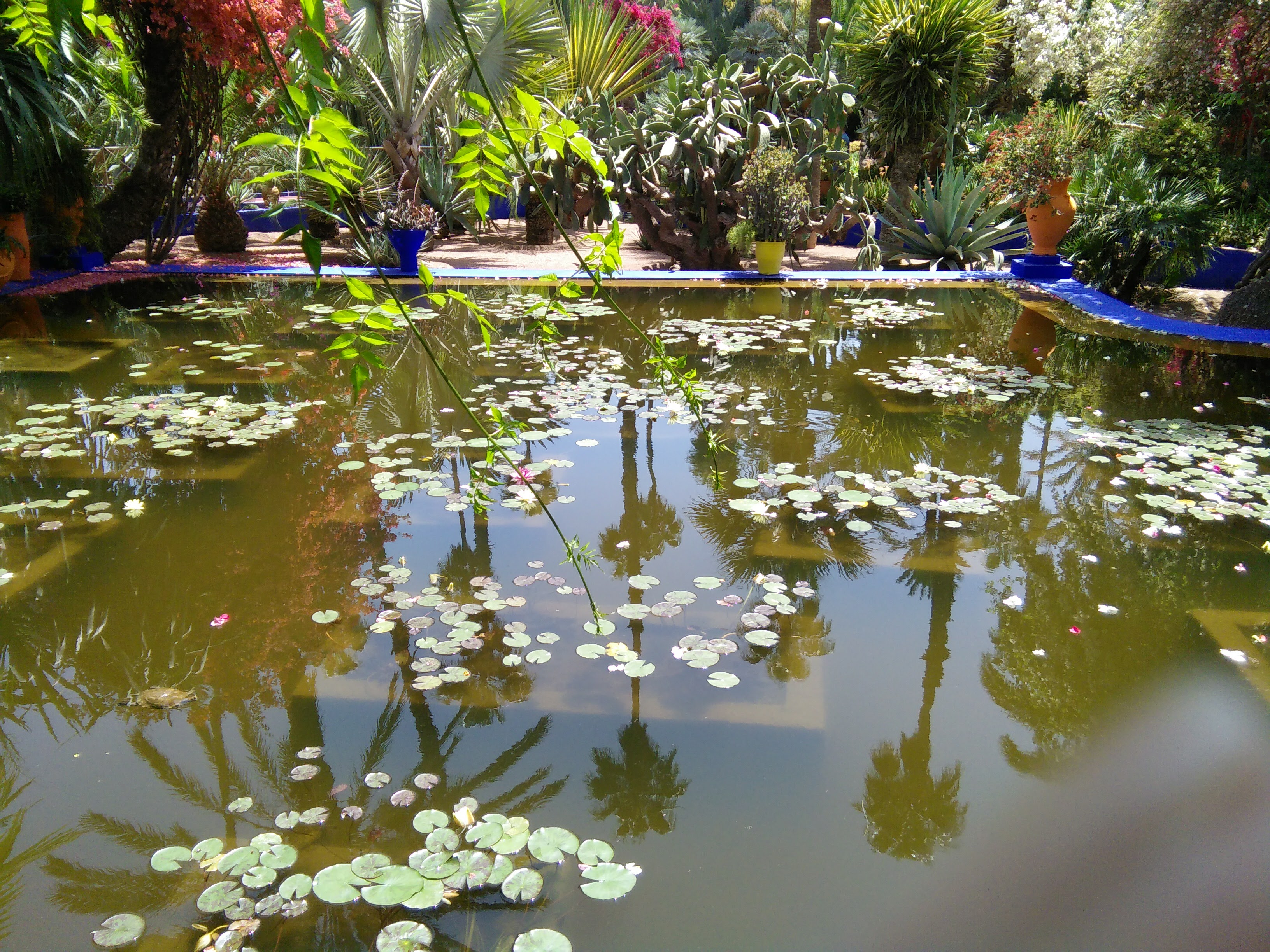 Majorelle Gardens